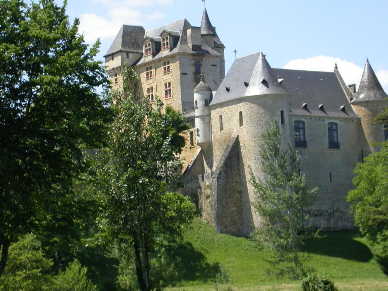 Villa Le Hameau Du Moulin Montignac-Lascaux Esterno foto